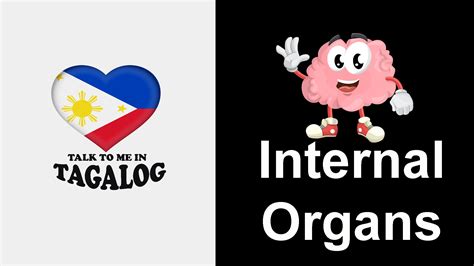 internal in tagalog|How to say internal in Filipino .